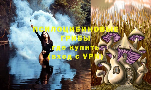 кокс Абинск