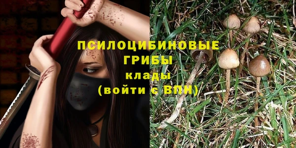 кокс Абинск