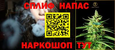 гидра Новозыбков