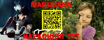 гидра Новозыбков
