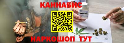 гидра Новозыбков
