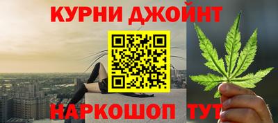 гидра Новозыбков