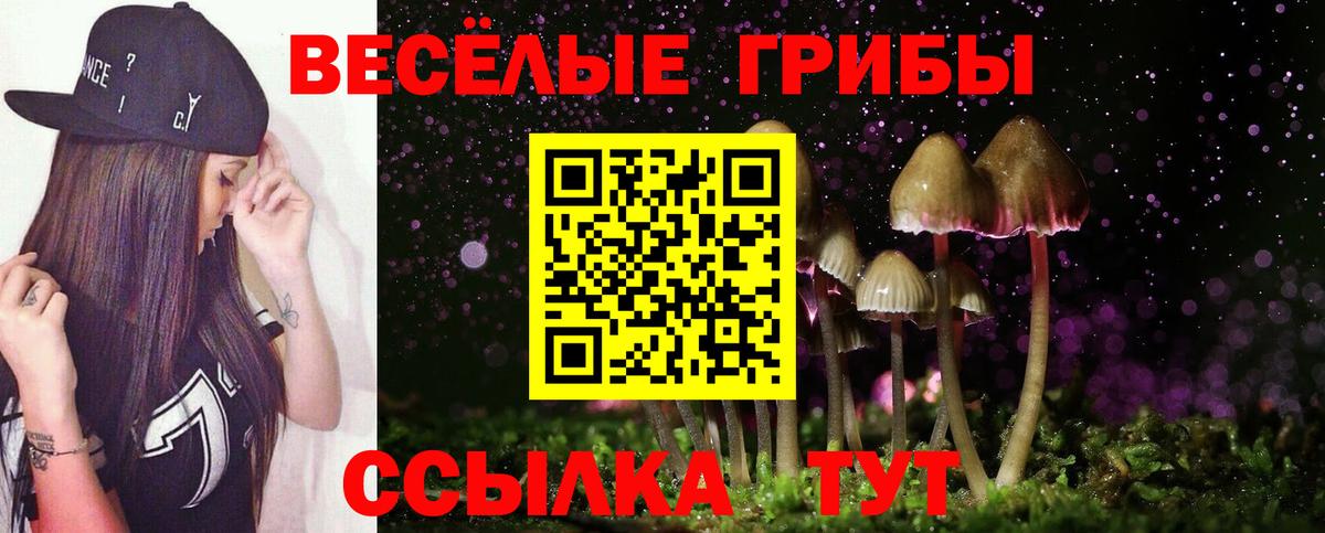 Псилоцибиновые грибы GOLDEN TEACHER Фрязино
