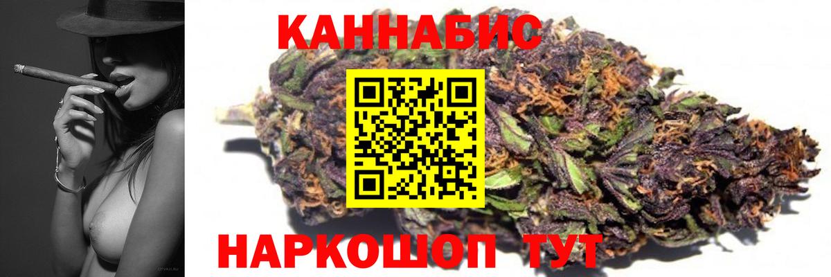 Конопля гибрид Фрязино